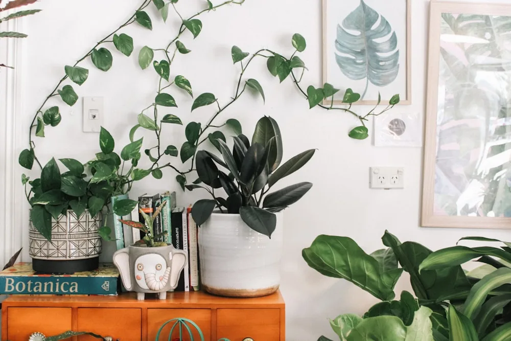 Green on every shelf